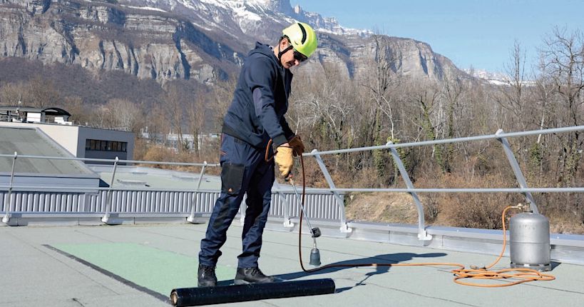 collective protective equipment : guardrails, lifelines, ladders with crinolines or fall protection grids